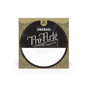 D'ADDARIO J4504