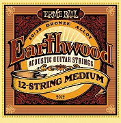 ERNIE BALL 2012