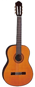 NARANDA CG120