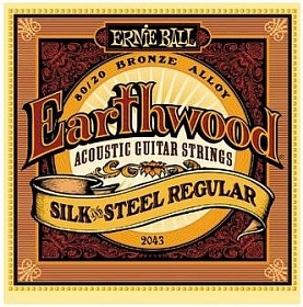 ERNIE BALL 2043
