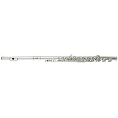 Флейта C ROY BENSON FL-302E серебр. головка