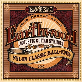 ERNIE BALL 2069
