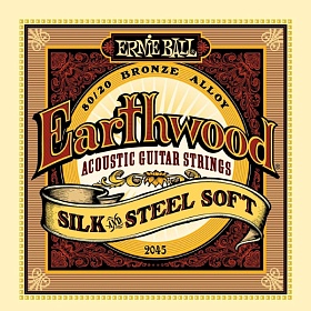 ERNIE BALL 2045