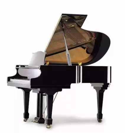 IRMLER F175 E Professional (Красное дерево)