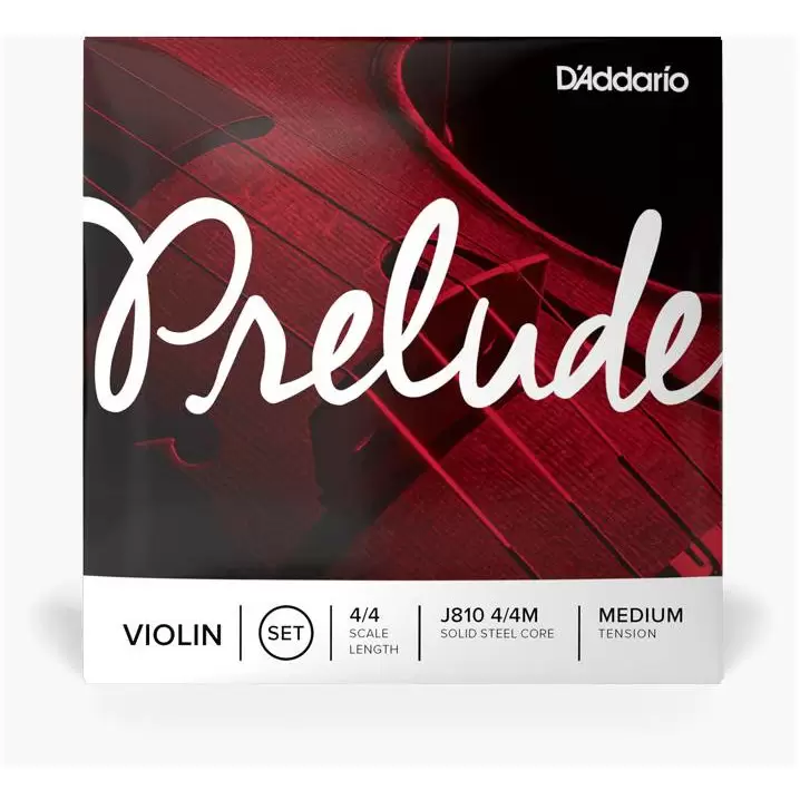 D'ADDARIO J810 4/4M