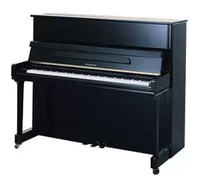SAMICK JS121MD/EBHP