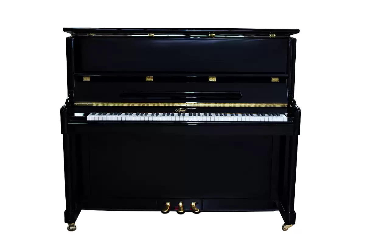 МЕЛОДИЯ 120 AT Acoustic Tech