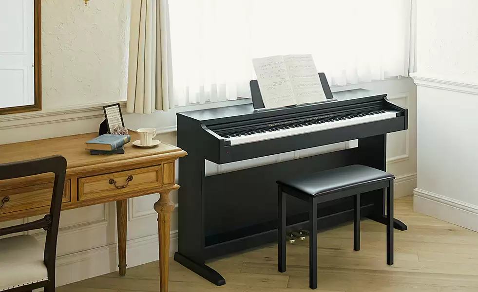 CASIO AP 270 WE